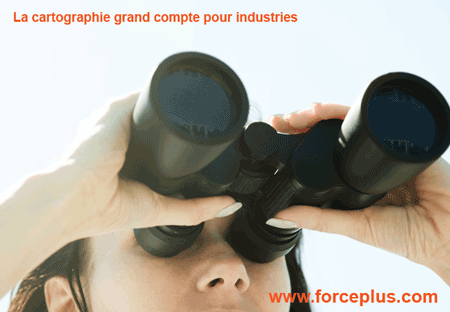 cartographie grands comptes industriels