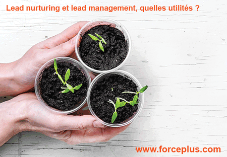 Lead nurturing et lead management