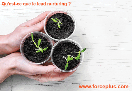 Qu'est-ce-que-le-lead-nurturing ? FORCE PLUS