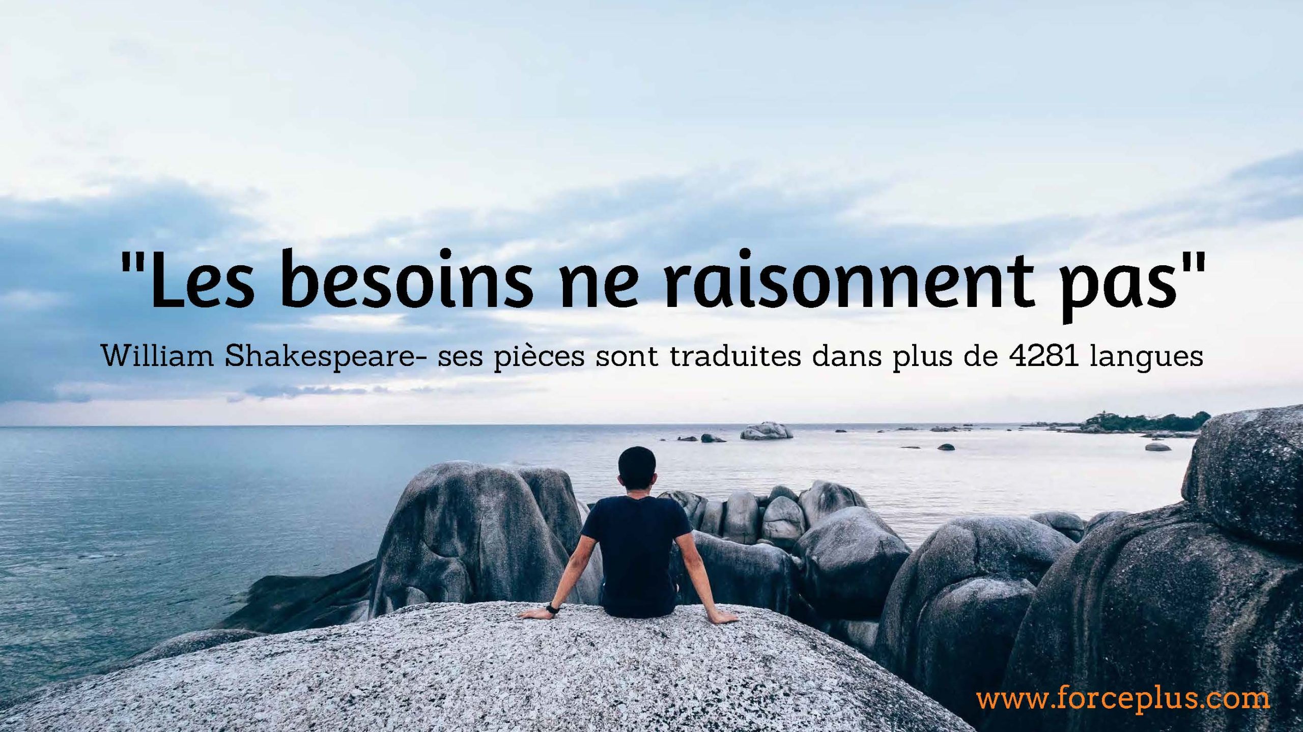 citations-directeur-commercial-malin23