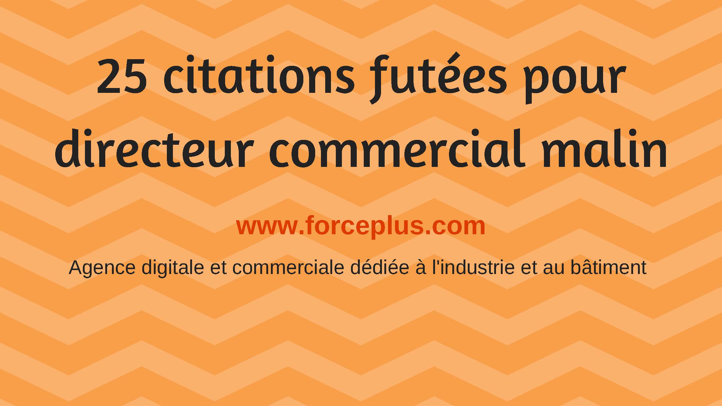 citations-directeur-commercial