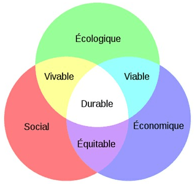 RSE qu'est-ce que c'est ? | Force Plus