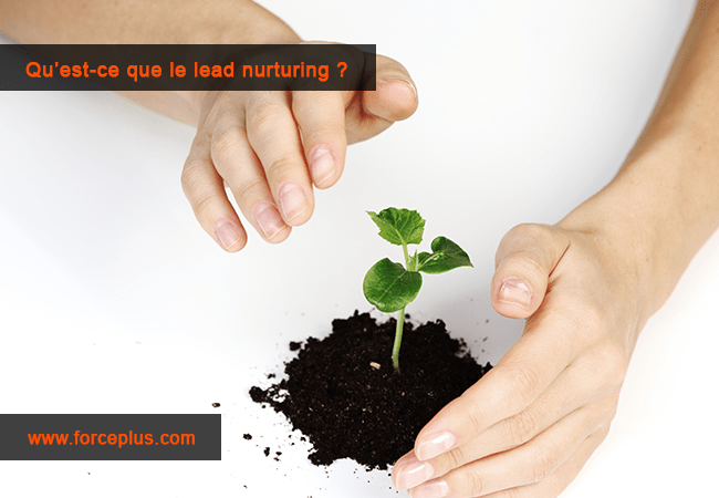 lead nurturing | FORCE PLUS